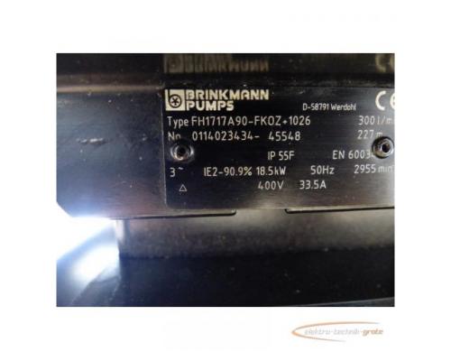 Brinkmann 0114023434-45548 Motor mit Siemens Drehstrommotor + Steuerung - Bild 8