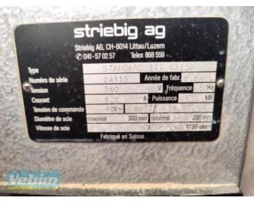 STRIEBIG STANDARD III 6220A Einblatt-Formatkreissägemaschine - Bild 3