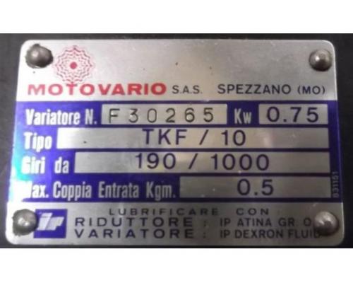 regelbarer Getriebemotor 0,75 kW 190-1000 U/min von MOTOVARIO – TKFL/10 - Bild 4