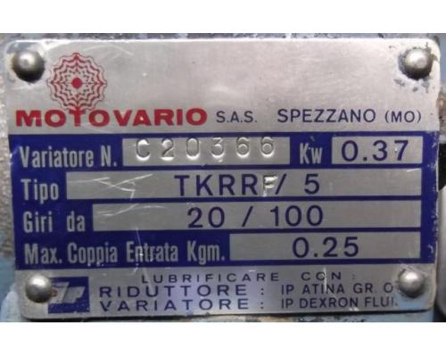 regelbarer Getriebemotor 0,37 kW 20-100 U/min von Motovario – TKRR/5 - Bild 4