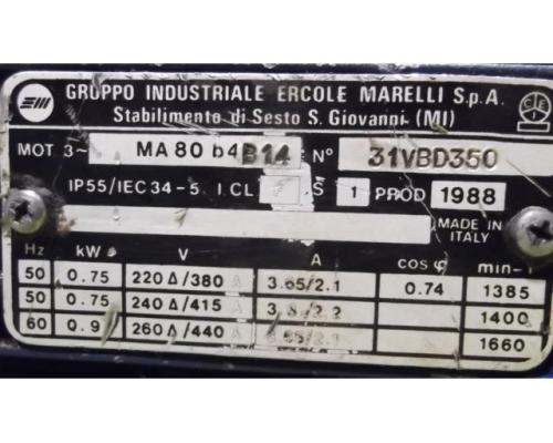 regelbarer Getriebemotor 0,75 kW 40-200 U/min von Ercole Marelli – MA80b4B14 - Bild 9