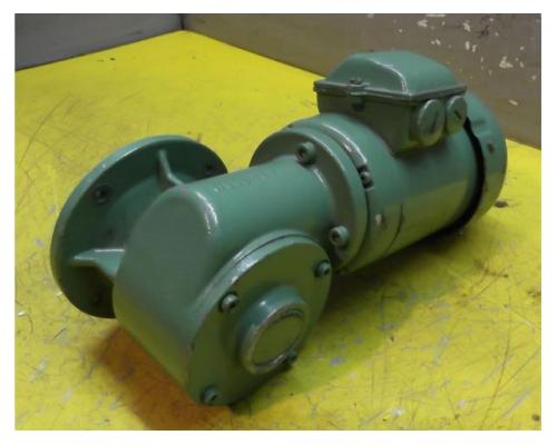 Getriebemotor 0,055 kW 45 U/min von Bauer – E3-20/DO44-141B - Bild 1