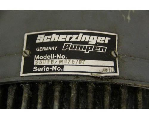 Pumpe von Scherzinger – 250 FB/M075/GT - Bild 5