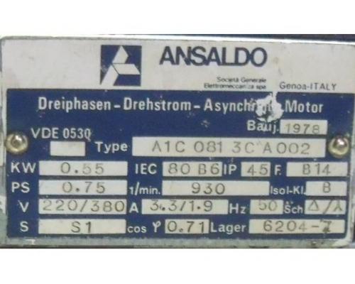 Dieselpumpe von Ansaldo – EA841 - Bild 6
