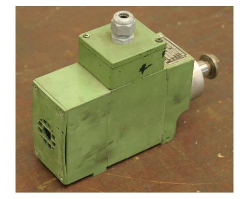 Fräsmotor für Kantenbearbeitungsmaschinen von Homag – LF-55-C-KA - Bild 2