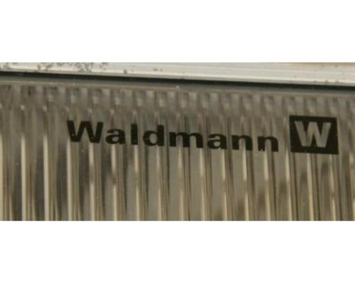 Maschinenleuchte von Waldmann – EBLCE 136 - Bild 8