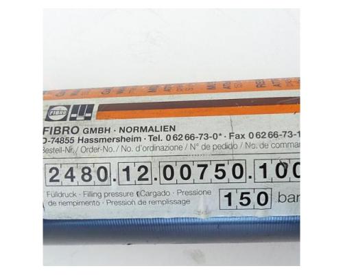 FIBRO 2480.12.00750.100 Gasdruckfeder 2480.12.00750.100 - Bild 2