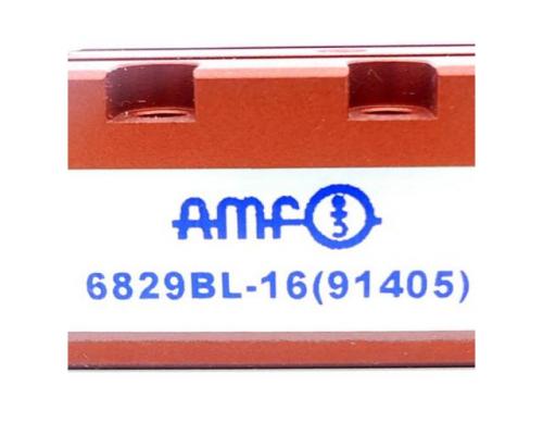 AMF 91405 Schwenkspanner 6829BL-16 91405 - Bild 2