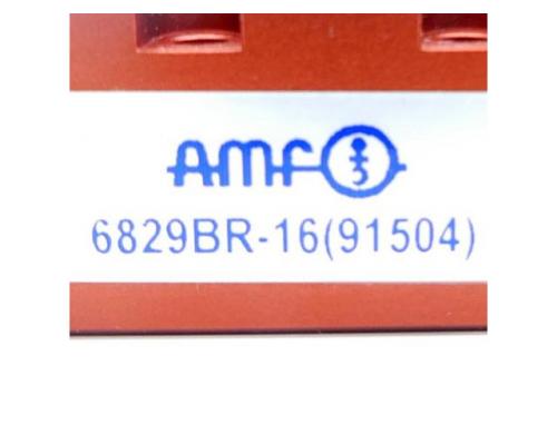 AMF 91504 Schwenkspanner 6829BR-16 91504 - Bild 2