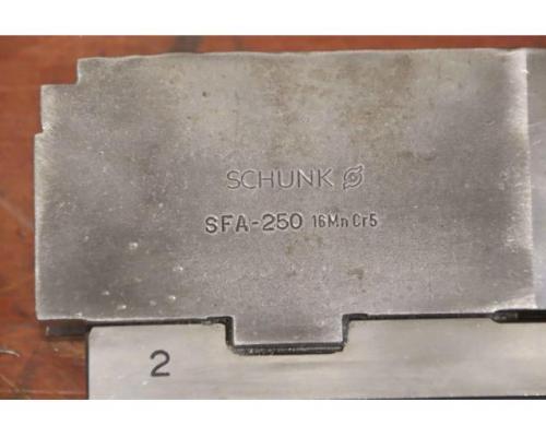 Wechselbacken von Schunk – Breite 26 mm  schrägverzahnt  SFA-250 - Bild 6