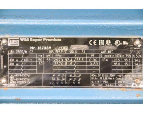 Elektromotor 55 kW 2970 U/min von Weg – 250S/M-02 - Bild 5