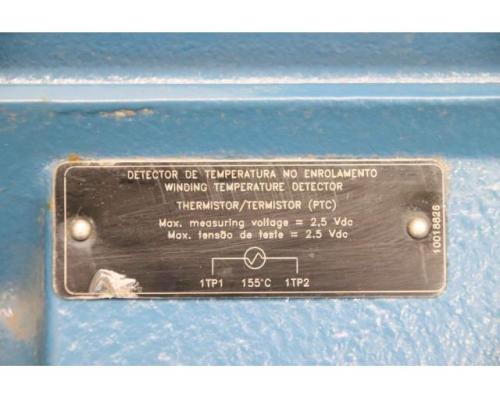 Elektromotor 55 kW 2970 U/min von Weg – 250S/M-02 - Bild 7