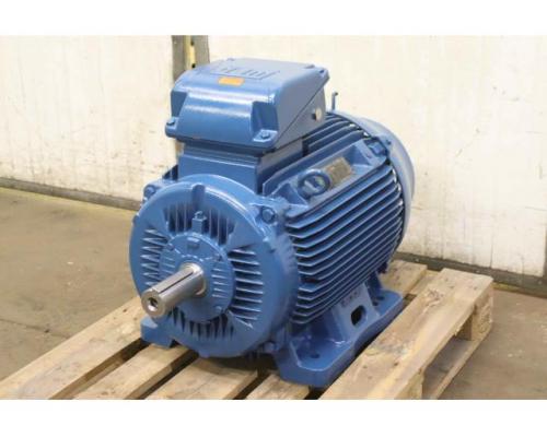 Elektromotor 55 kW 2970 U/min von Weg – 250S/M-02 - Bild 10