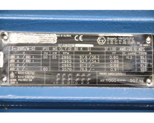 Elektromotor 55 kW 2970 U/min von Weg – 250S/M-02 - Bild 14