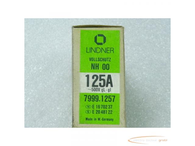 Lindner Vollschutz 125 A NH 00 500 V gl - 2