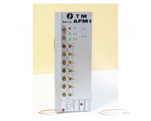 TMKG TM AFM1 Modul - Bild 1