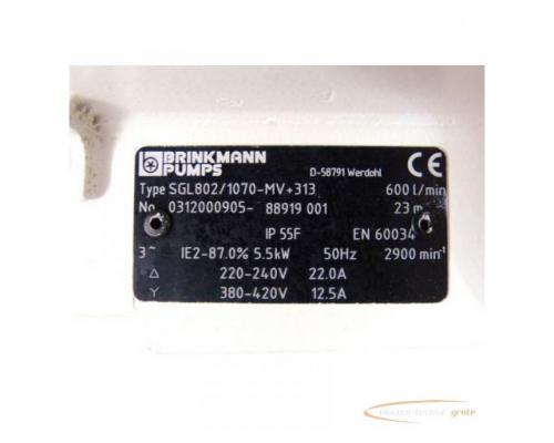 Brinkmann SGL802/1070-MV+313 Tauchpumpe - Bild 6