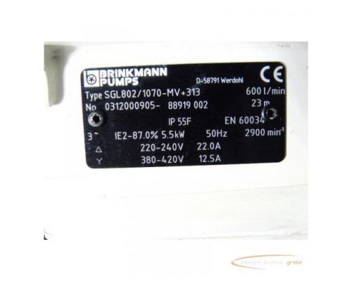 Brinkmann SGL802/1070-MV+313 Pumpe - Bild 5