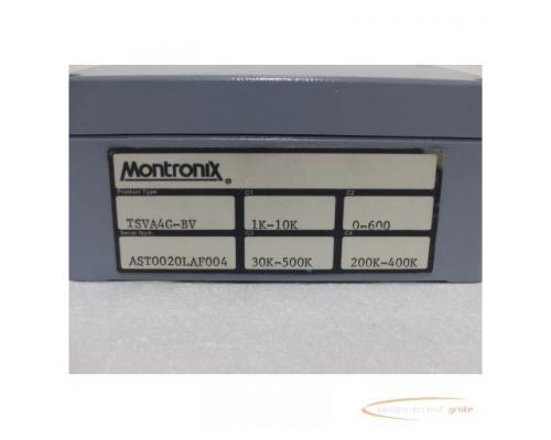 Montronix TSVA4G-BV Vibrationsverstärker SN:AST0020LAF004 - Bild 5