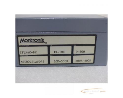 Montronix TSVA4G-BV Vibrationsverstärker SN:AST0024LAF045 - Bild 5