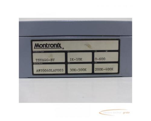 Montronix TSVA4G-BV Vibrationsverstärker SN:AST0040LAF003 - Bild 5