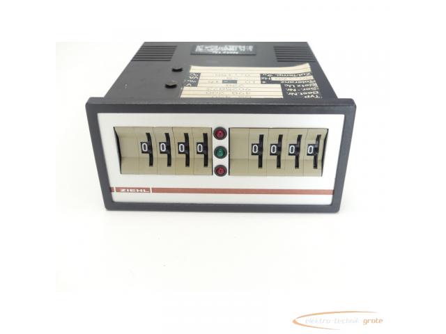 Ziehl GS 450 Grenzwertschalter 220V 50/60 Hz - 2