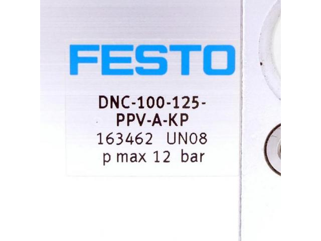 Pneumatikzylinder DNC-100-125-PPV-A-KP 163462 - 2