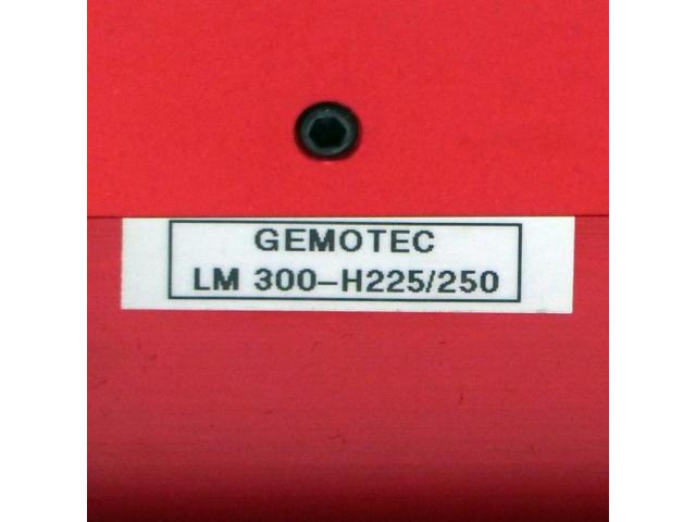 Lineareinheit LM 300-H225/250 - 2