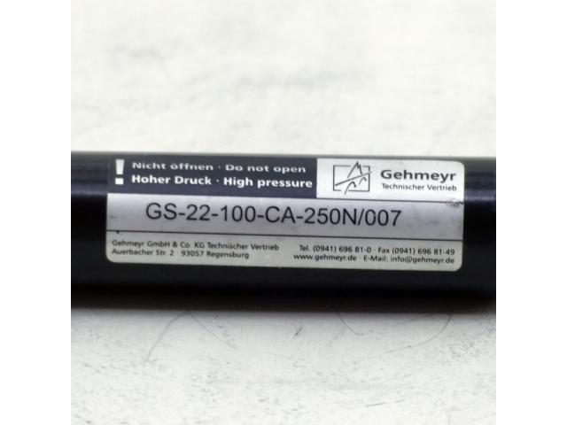 Gasfeder GS-22-100-CA-250N/007 - 2