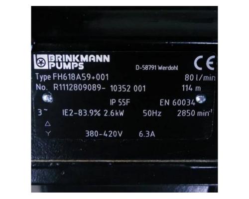 BRINKMANN PUMPS Druckerhöhungspumpe FH618A59+001 R1112809089- 103 - Bild 2